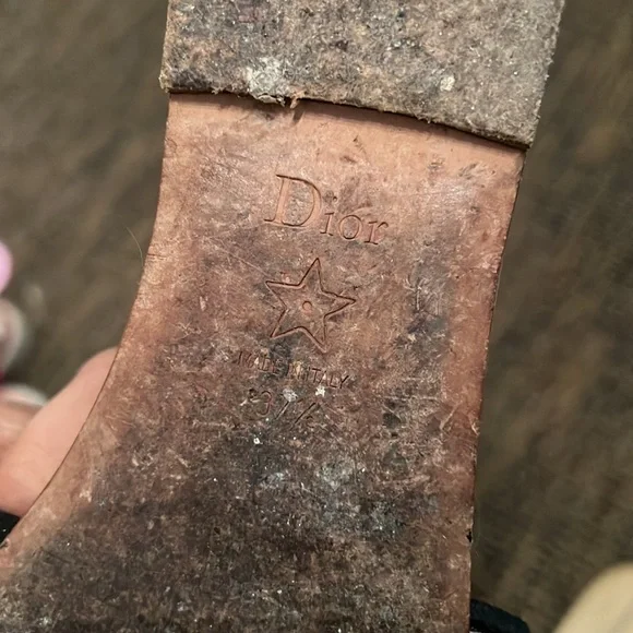 DIOR slide - Picture 6 of 14